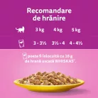 Whiskas Hrană umedă pentru pisici adulte, mix pasăre în aspic 120 x 85 g