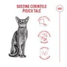 Royal Canin Fussy Exigent Hrană uscată pentru pisici adulte 4 kg