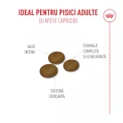 Royal Canin Fussy Exigent Hrană uscată pentru pisici adulte 4 kg