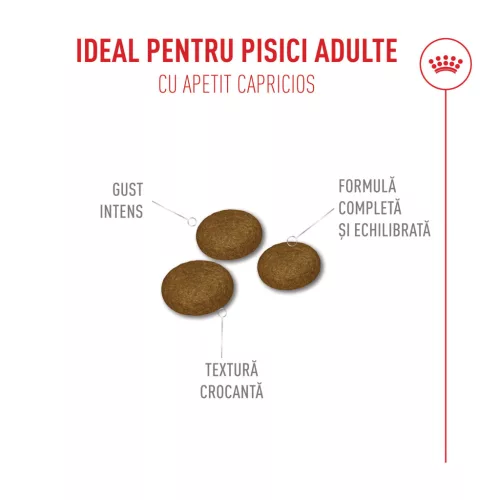 Royal Canin Fussy Exigent Hrană uscată pentru pisici adulte 4 kg