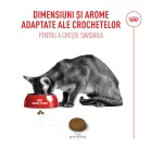 Royal Canin Fussy Exigent Hrană uscată pentru pisici adulte 4 kg