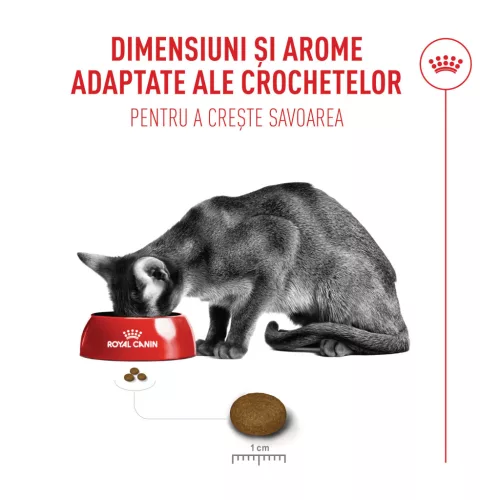 Royal Canin Fussy Exigent Hrană uscată pentru pisici adulte 4 kg