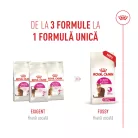 Royal Canin Fussy Exigent Hrană uscată pentru pisici adulte 4 kg