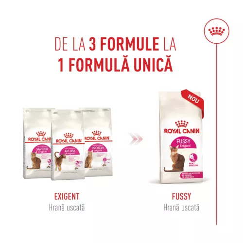 Royal Canin Fussy Exigent Hrană uscată pentru pisici adulte 4 kg