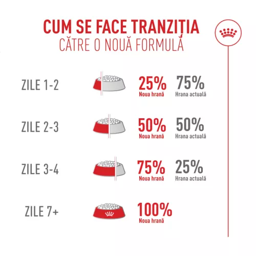 Royal Canin Fussy Exigent Hrană uscată pentru pisici adulte 4 kg