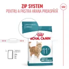 Royal Canin Ageing 11+ Hrană uscată pentru pisici senioare 4 kg