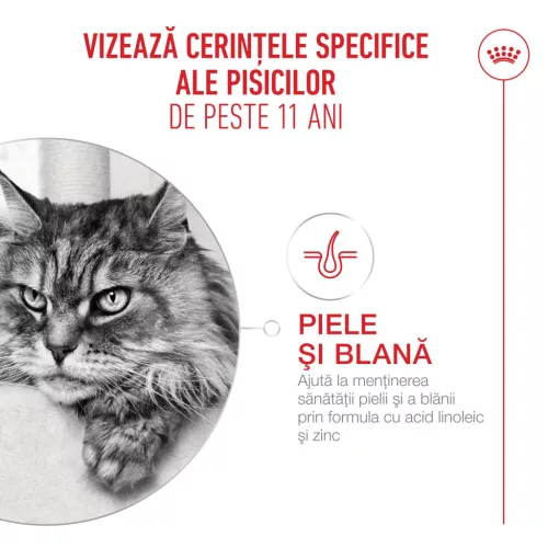 Royal Canin 11+ Hrană uscată pentru pisici senioare 400 g
