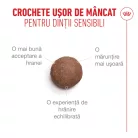 Royal Canin 11+ Hrană uscată pentru pisici senioare 400 g