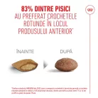Royal Canin 11+ Hrană uscată pentru pisici senioare 400 g
