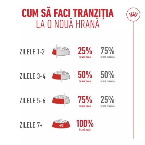 Royal Canin 11+ Hrană uscată pentru pisici senioare 400 g