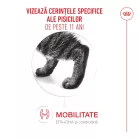 Royal Canin Healthy Ageing 11+ Hrană uscată pentru pisici 2 kg