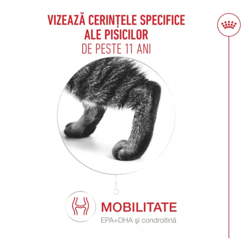 Royal Canin Healthy Ageing 11+ Hrană uscată pentru pisici 2 kg