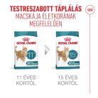 Royal Canin Healthy Ageing 11+ Hrană uscată pentru pisici 2 kg