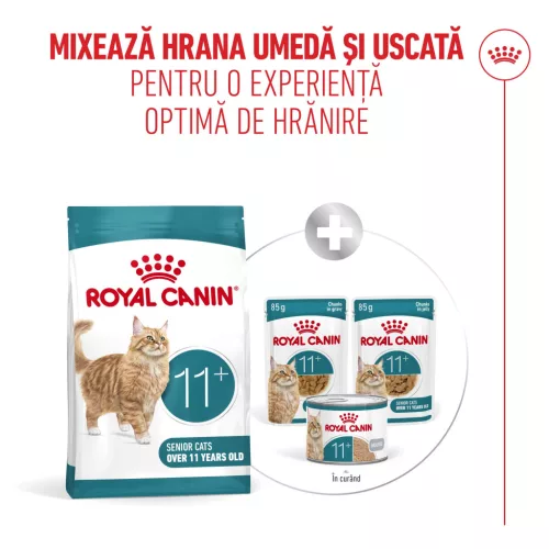 Royal Canin Healthy Ageing 11+ Hrană uscată pentru pisici 2 kg