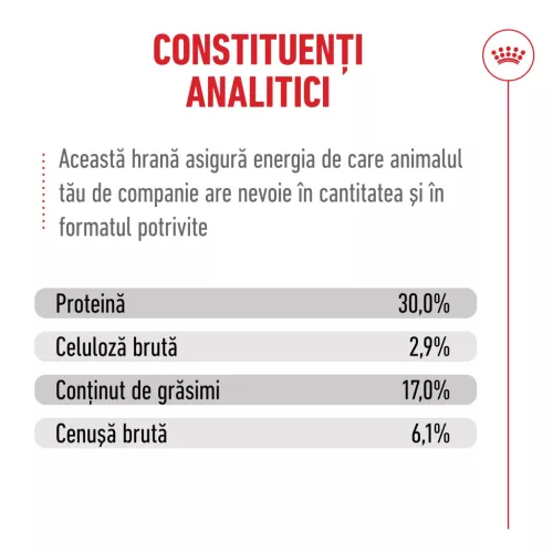 Royal Canin Healthy Ageing 11+ Hrană uscată pentru pisici 2 kg
