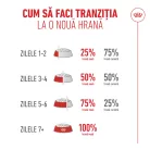 Royal Canin Healthy Ageing 11+ Hrană uscată pentru pisici 2 kg