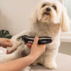 WAHL Smart Clip Mașină de tuns pentru toaletarea blănii