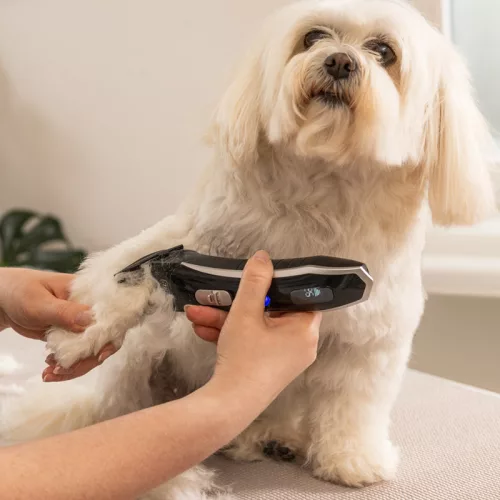 WAHL Smart Clip Mașină de tuns pentru toaletarea blănii