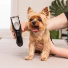 WAHL Easy Pro+ Mașină de tuns pentru toaletarea blănii