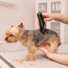 WAHL Easy Pro+ Mașină de tuns pentru toaletarea blănii
