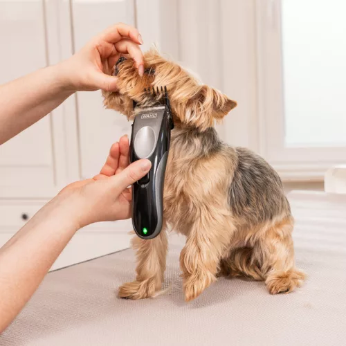 WAHL Easy Pro+ Mașină de tuns pentru toaletarea blănii