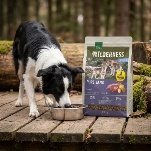 Real Nature Wilderness Hrană uscată pentru câini junior, cu miel 1 kg