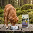 Real Nature Wilderness Hrană uscată pentru câini adulți, cu miel 2,5 kg