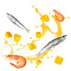 Delickcious Supă de sardine cu creveți și aromă de dovleac 80 g