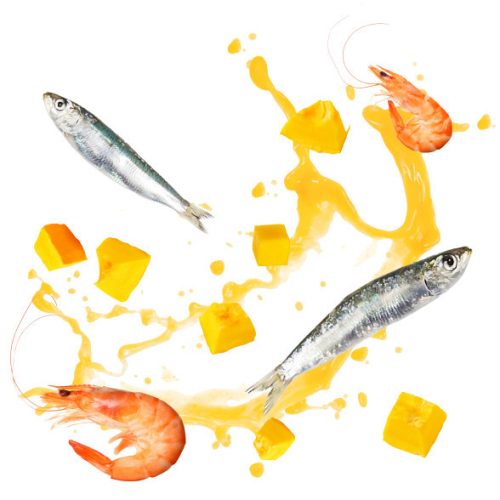 Delickcious Supă de sardine cu creveți și aromă de dovleac 80 g