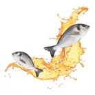 Delickcious Băutură cu pește oceanic 140 g