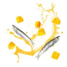 Delickcious Creamy Snack cu sardine și dovleac 4x15 g