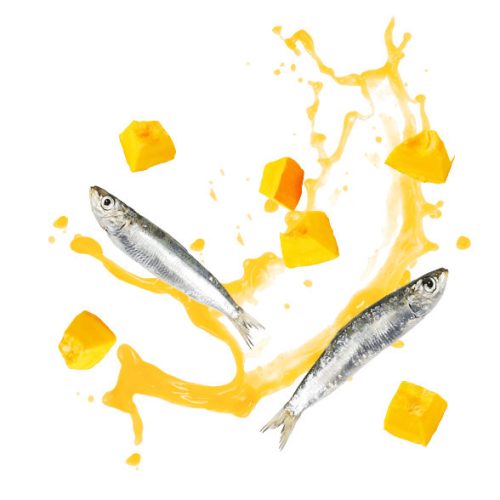 Delickcious Creamy Snack cu sardine și dovleac 4x15 g