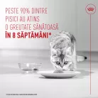 Royal Canin Light Weight Care Airlift Hrană umedă pentru pisici 85 g