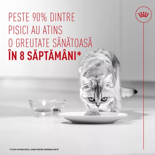 Royal Canin Light Weight Care Airlift Hrană umedă pentru pisici 85 g