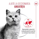 Royal Canin Light Weight Care Airlift Hrană umedă pentru pisici 85 g