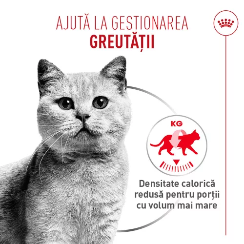 Royal Canin Light Weight Care Airlift Hrană umedă pentru pisici 85 g