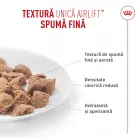 Royal Canin Light Weight Care Airlift Hrană umedă pentru pisici 85 g