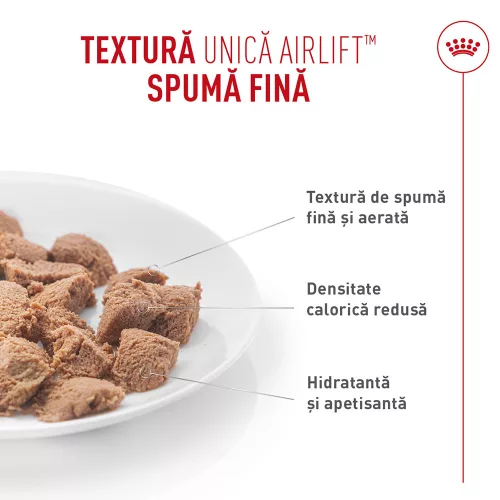 Royal Canin Light Weight Care Airlift Hrană umedă pentru pisici 85 g