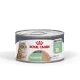 Royal Canin Digestive Care Airlift Hrană umedă pentru pisici 85 g