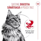 Royal Canin Digestive Care Airlift Hrană umedă pentru pisici 85 g