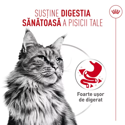 Royal Canin Digestive Care Airlift Hrană umedă pentru pisici 85 g