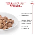 Royal Canin Digestive Care Airlift Hrană umedă pentru pisici 85 g