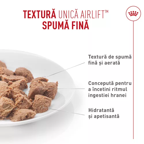 Royal Canin Digestive Care Airlift Hrană umedă pentru pisici 85 g