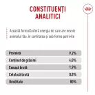 Royal Canin Digestive Care Airlift Hrană umedă pentru pisici 85 g