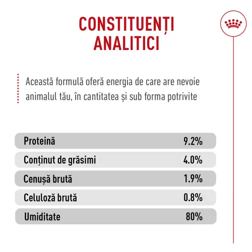 Royal Canin Digestive Care Airlift Hrană umedă pentru pisici 85 g