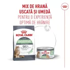 Royal Canin Digestive Care Airlift Hrană umedă pentru pisici 85 g