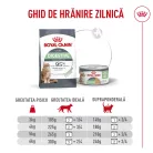 Royal Canin Digestive Care Airlift Hrană umedă pentru pisici 85 g