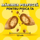 Dreamies Recompense pentru pisici cu iarba pisicii 180 g