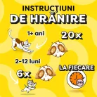 Dreamies Recompense pentru pisici cu iarba pisicii 180 g