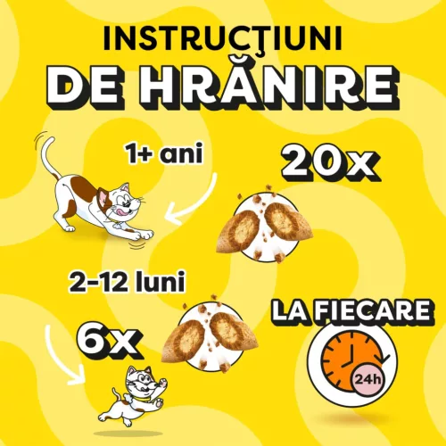 Dreamies Recompense pentru pisici cu iarba pisicii 180 g